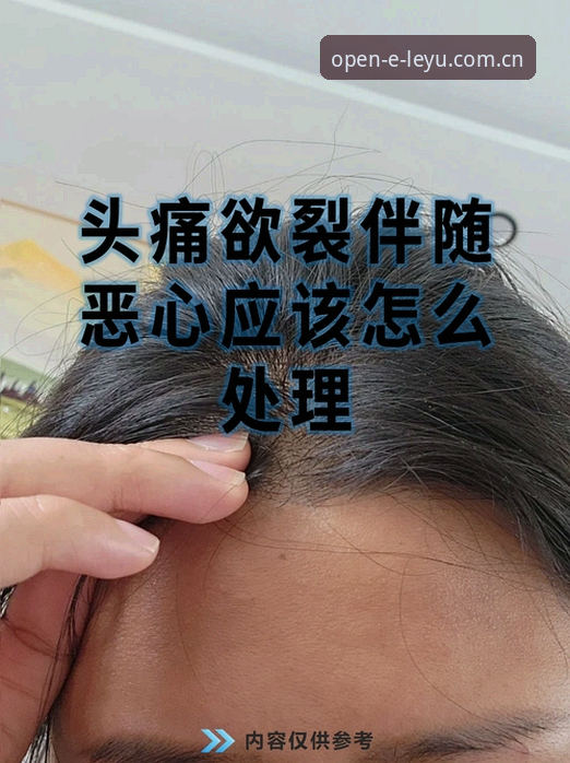 乐鱼官方登录通道常见问题 深度揭秘乐鱼官方登录通道背后那些让人头疼的常见问题